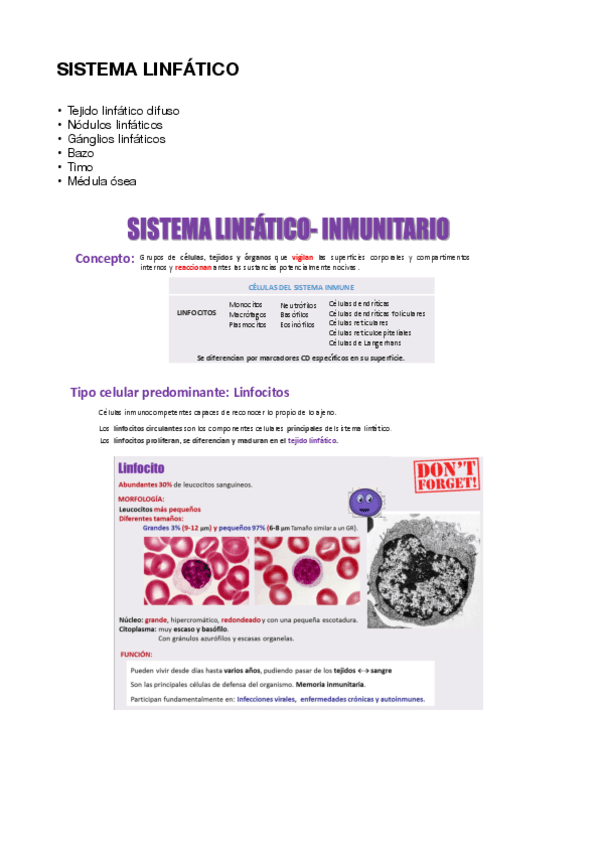 SISTEMA-LINFATICO.pdf