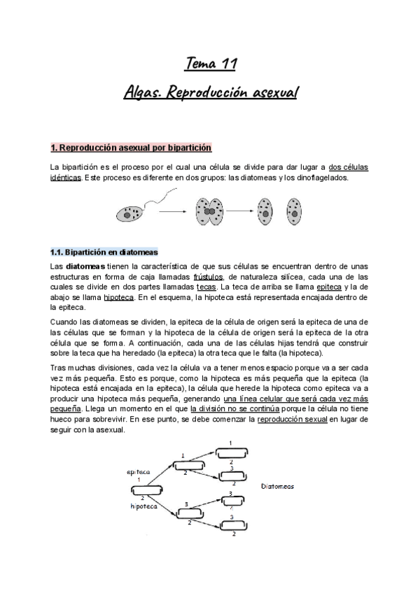 Apuntes-Tema-11-Botanica-I-Algas.-Reproduccion-asexual.pdf