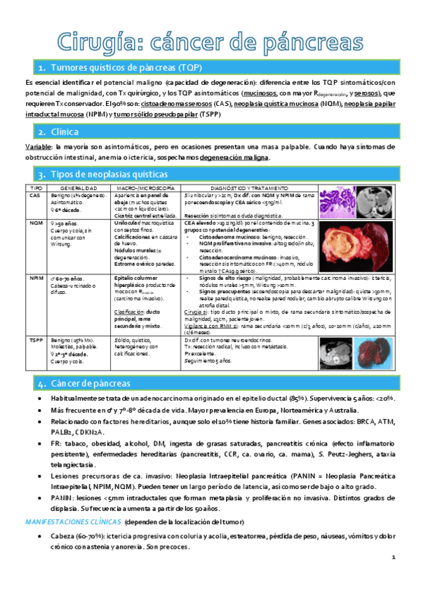 Qx-cancer-de-pancreas.pdf