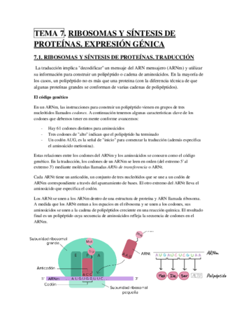 TEMA 7.pdf