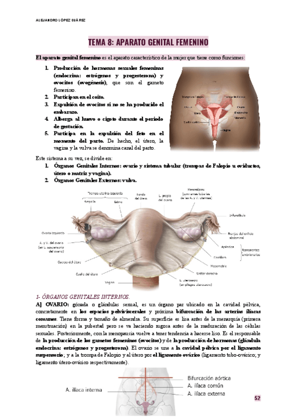 ANATOMIA-TEMA-8-APARATO-GENITAL-FEMENINO.pdf