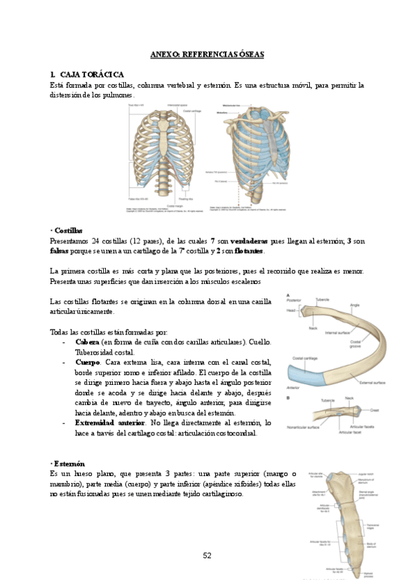 ANATOMIA-TEMA-13ANEXO-APARATO-LOCOMOTOR.pdf