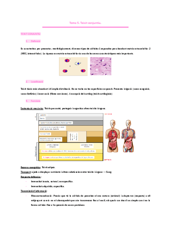 Tema-5.-Teixit-conjuntiu.pdf