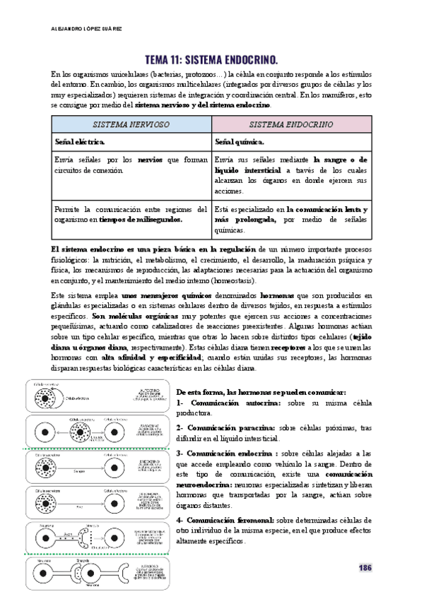 FISIOLOGIA-HUMANA-TEMA-11.pdf