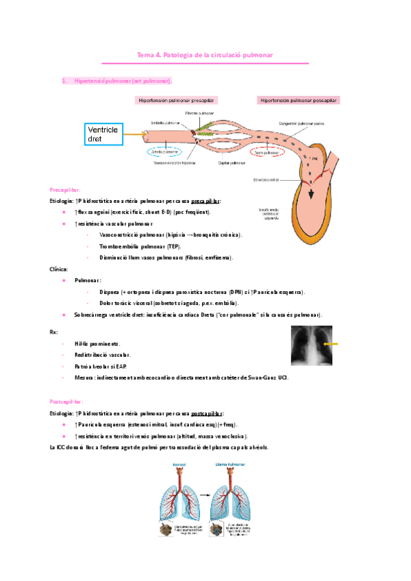 PNEUMOLOGIA.-Tema-4.-Patologia-de-la-circulacio-pulmonar..pdf