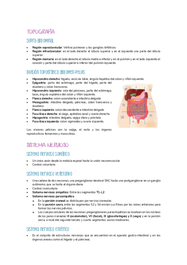 resumen-visceral.pdf