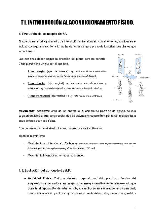 T1-A.F..pdf