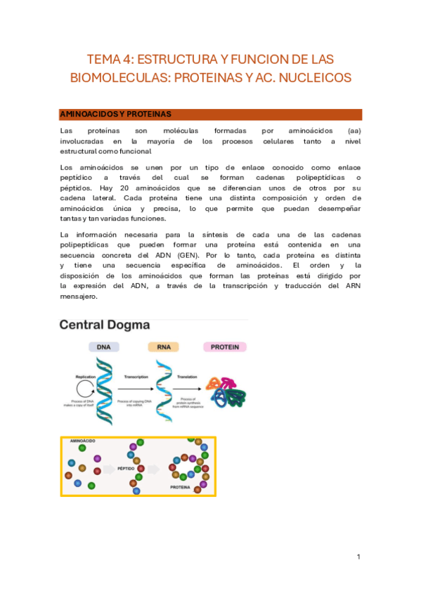 TEMA-4.pdf