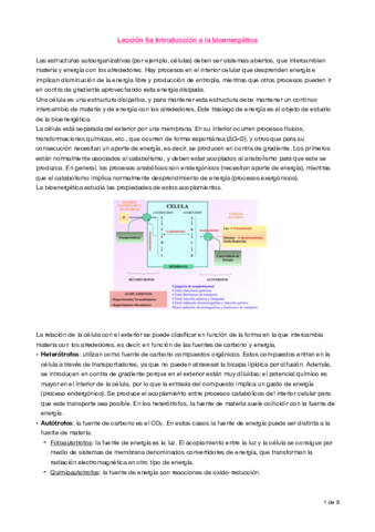 Apuntes lección 6.pdf