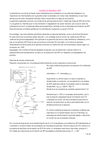 Apuntes lección 7.pdf