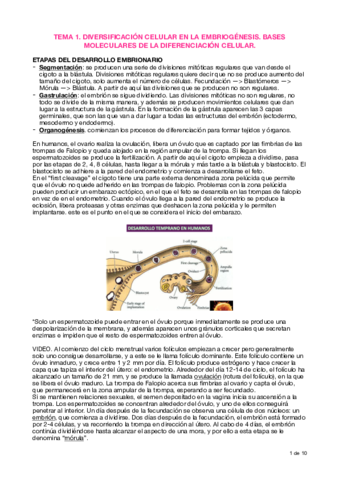 Apuntes T1 Embriogénesis.pdf