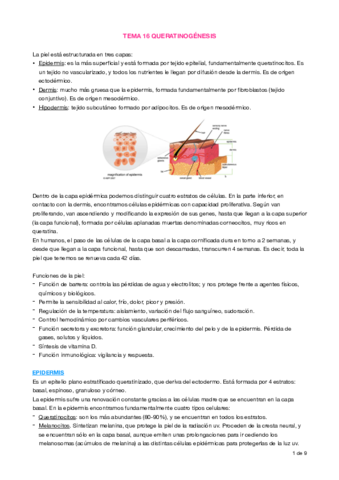 Apuntes T16 Queratinogénesis.pdf