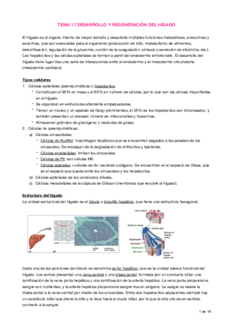 Apuntes T17 Hepatogénesis.pdf