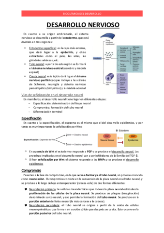 Apuntes T18 Desarrollo nervioso.pdf