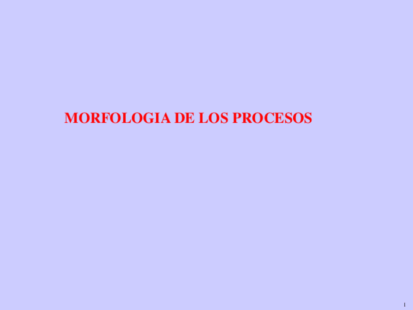 000-Morfologia-de-los-procesos-PR.pdf