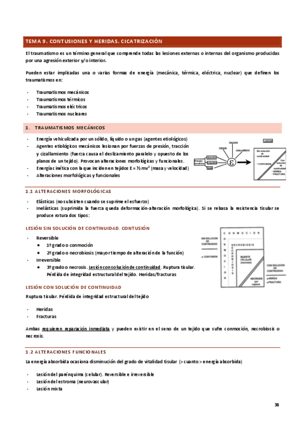 TEMA-9.pdf
