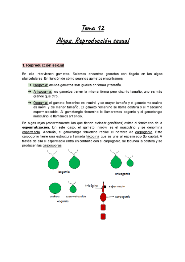 Apuntes-Tema-12-Botanica-I-Algas.-Reproduccion-sexual.pdf