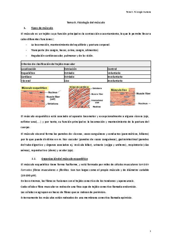 Tema-9.-Fisiologia-del-musculo..pdf