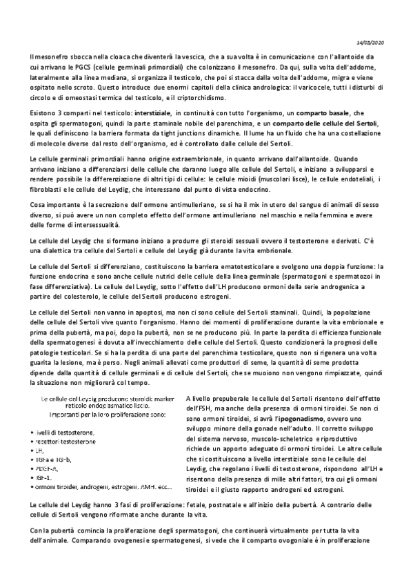 21-Fisiologia-II-14-05.pdf