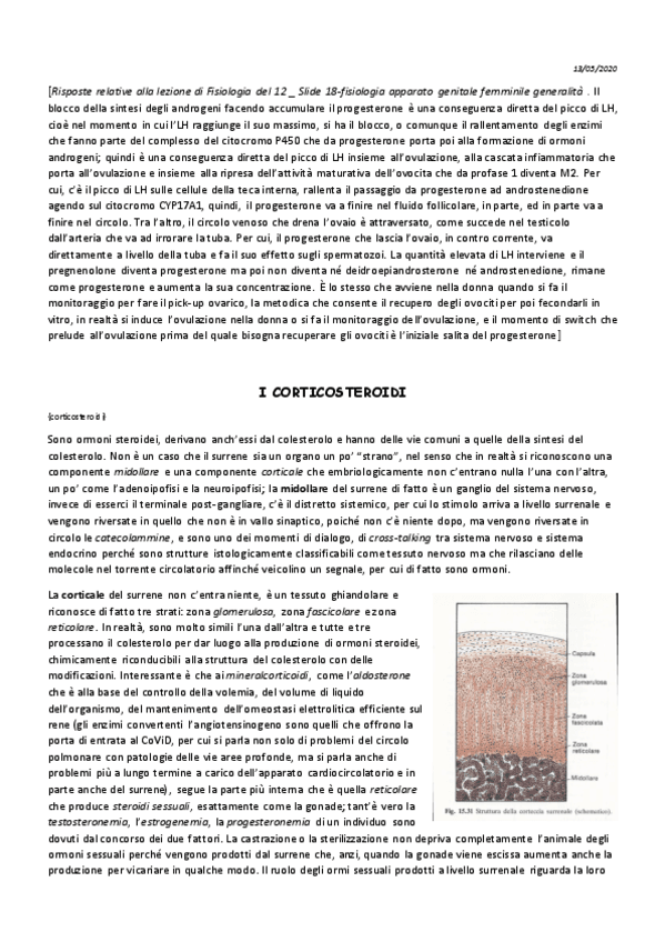 7-Endocrinologia-13-05.pdf
