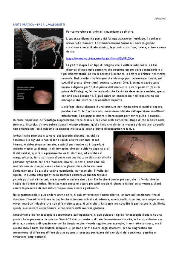 9-Endocrinologia-14-05.pdf