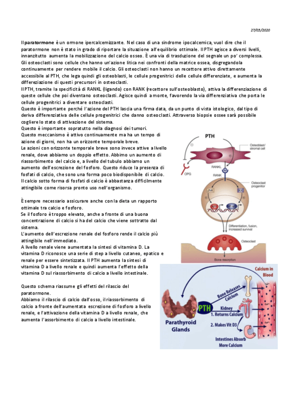 11-Endocrinologia-27-05.pdf