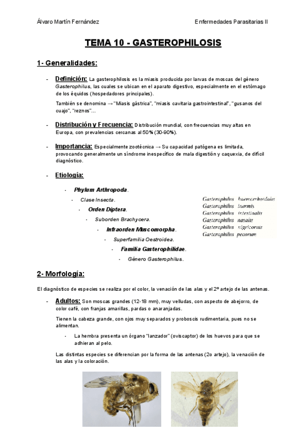TEMA-10-GASTEROPHILOSIS.pdf