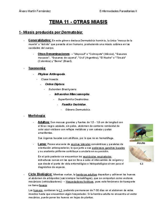 TEMA-11-OTRAS-MIASIS.pdf