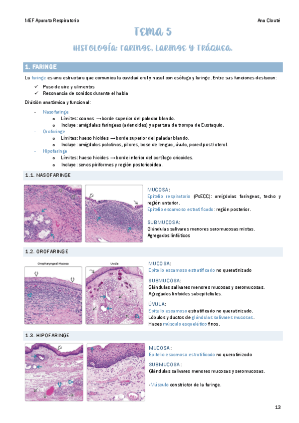 Tema-5.pdf