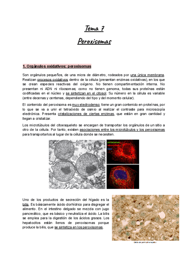 Apuntes-Tema-7-BioCel-I-Peroxisomas.pdf