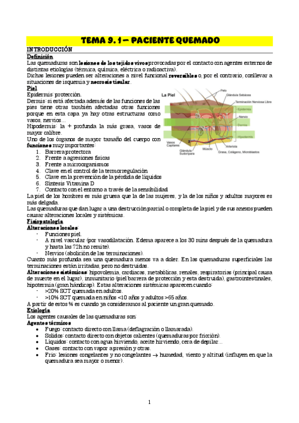Tema-9.1Gran-quemado.pdf