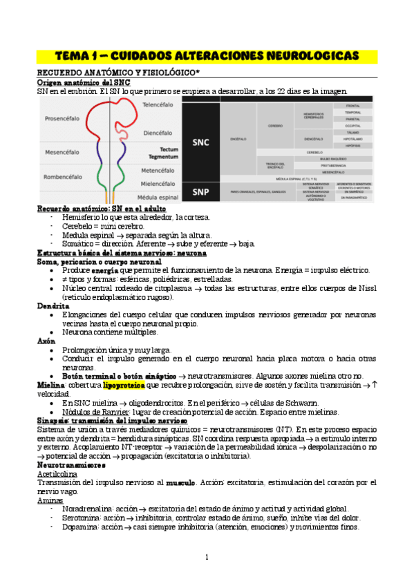 TEMA-1Neuro.pdf