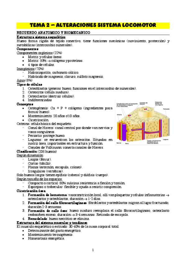TEMA-2Trauma.pdf