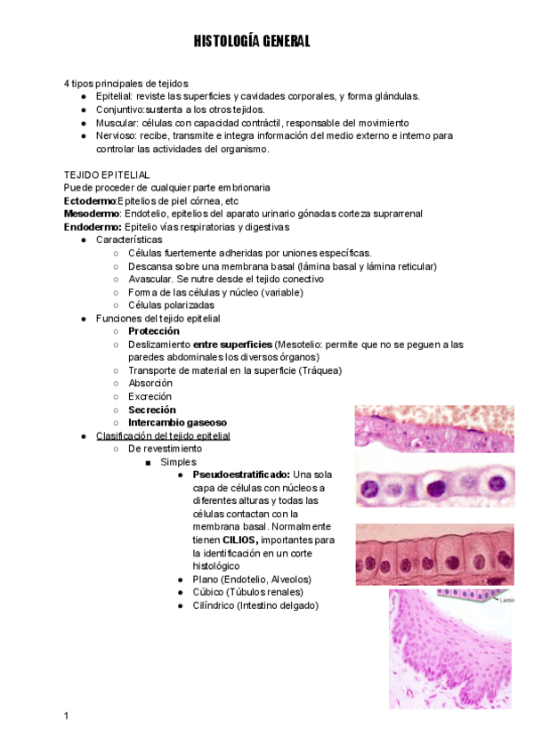 APUNTES-PRIMER-PARCIAL-HISTOLOGIA-GENERAL.pdf