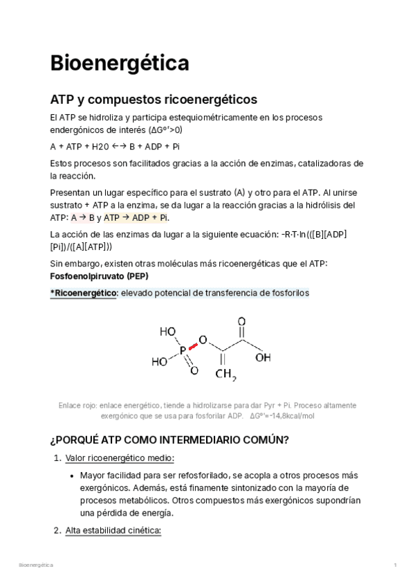 BIOENERGETICA-Temas-1-4.pdf