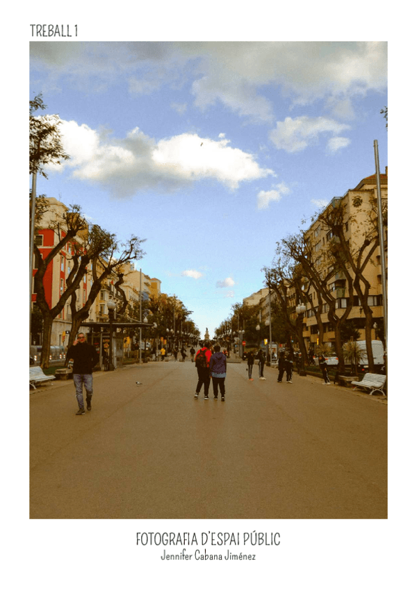 TREBALL-fotos.pdf
