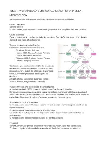 TEMA 1. REDACTADO (REVISAR).pdf