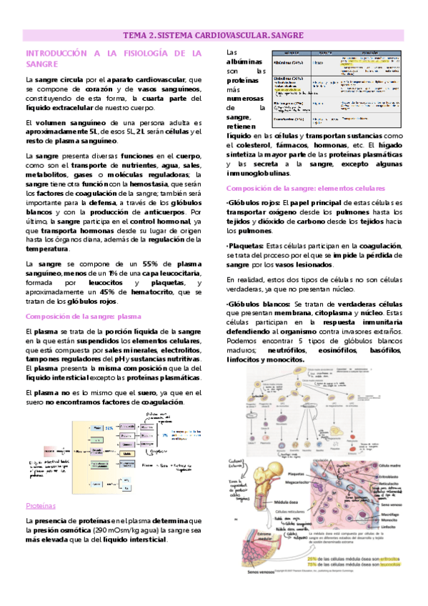 Tema 2 fisiologÍa animal. Sistema cardiovascular.pdf