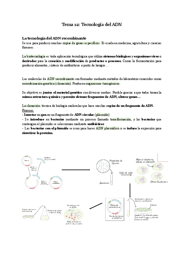 Biologia-Tema-12.pdf