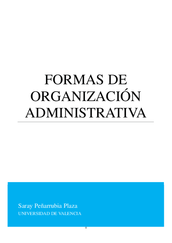 FORMAS-DE-ORGANIZACION-ADMINISTRATIVA.pdf