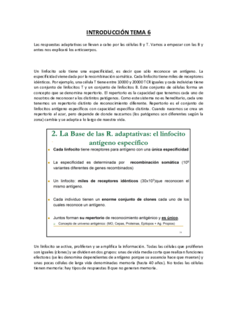 TEMA 5 - INTRODUCCIÓN AL TEMA 6.pdf
