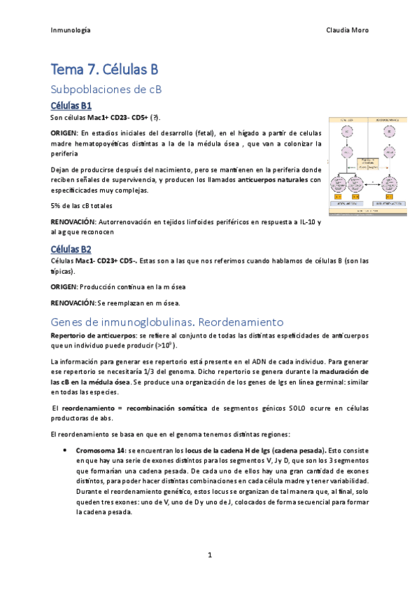Tema-7.pdf