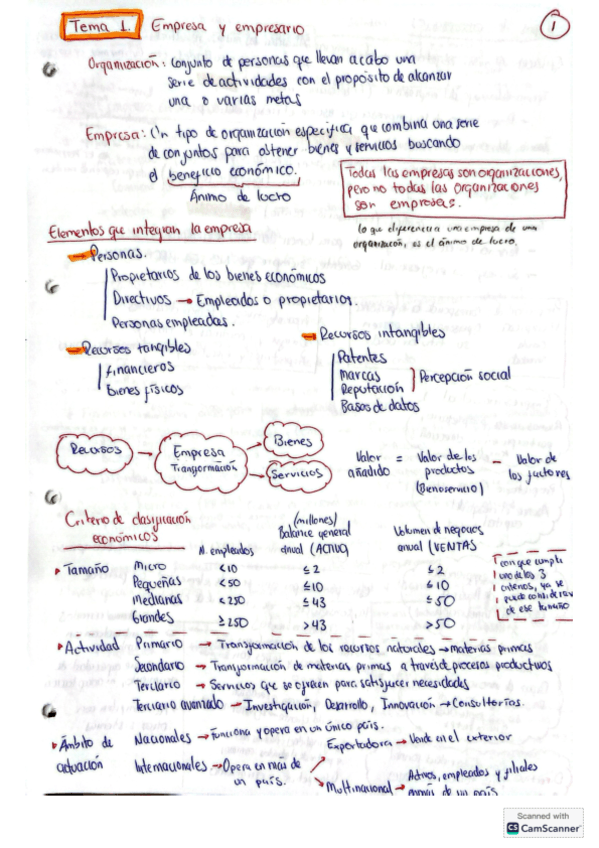 Resumen-Organizacion.pdf