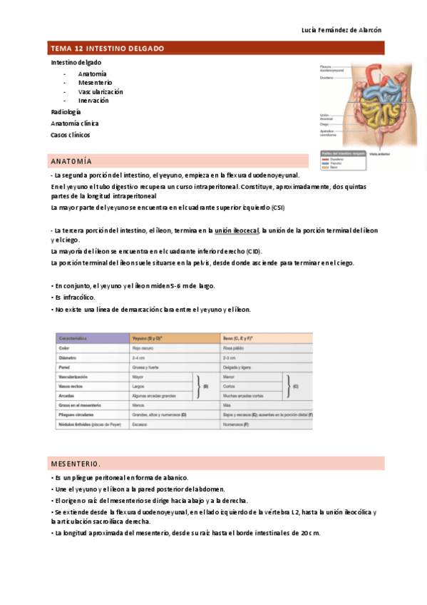 Tema-12-13-y-14-ANAT-DRURE.pdf