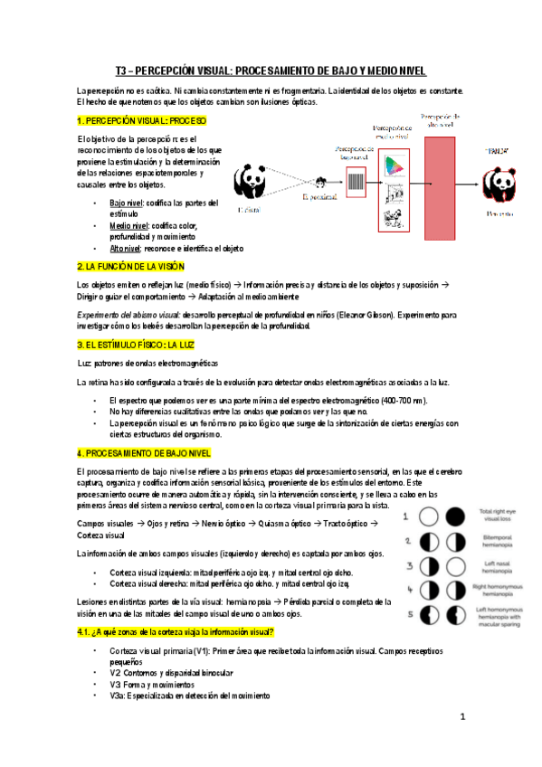 T3-PERCEPCION.pdf