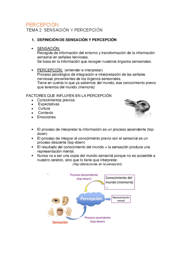 PERCEPCION.pdf