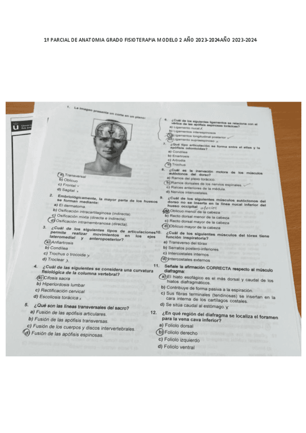 1o-PARCIAL-DE-ANATOMIA-2023.pdf