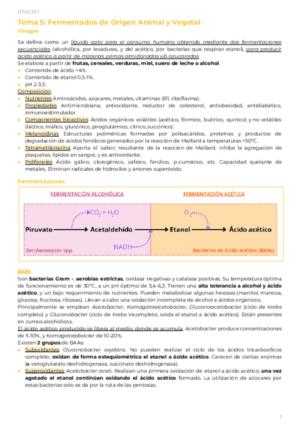 PAR1Tema-5.2-Fermentados-de-origen-Animal-y-VegetalVinagre.pdf