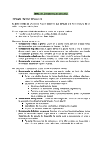 Tema 19.pdf