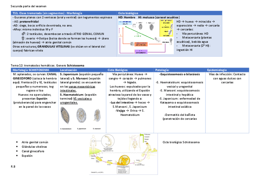 todo-parasitologia.pdf